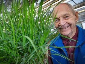 Gerry Mulligan spent his career as a research scientist at the Central Experimental Farm. In retirement he created a website where anyone can look up photos and information about weeds in Canada and the northern United States.
