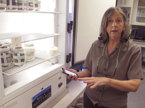 In a Tuesday, Oct. 30, 2018 photo, Ohio State University entomologist Susan Jones discusses the app she created with tips on spotting bed bugs and getting rid of them as she shows off a cooler with containers of bed bugs, in Columbus, Ohio. Jones says the bugs can be tricky to identify because they're nocturnal and good at hiding.