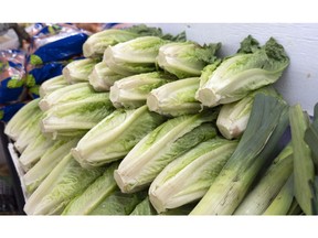 The Canadian Food Inspection Agency has announced a recall of certain types of cauliflower and lettuce due to possible E. coli contamination. Romaine lettuce is seen at market in Montreal on Thursday, Nov. 22, 2018.