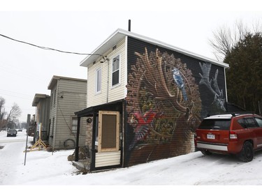 House mural at 107 Pinhey St. in Ottawa Thursday Dec 13, 2018.  Tony Caldwell