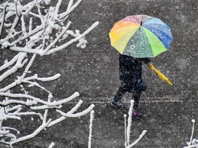 A person walks under an umbrella during a snowfall.
