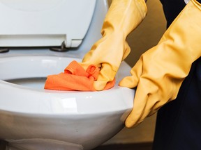 Cleaning a toilet.