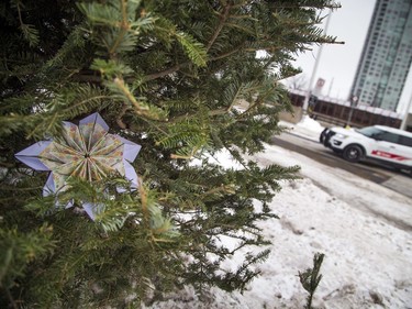 An origami star was placed in a tree that stands near the crash site near the transit way in Westboro, Sunday Jan. 13, 2019.