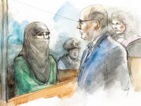 An artist's impression of Rehab Dughmosh's court proceedings.