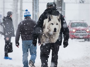 Pedestrians navigate the snowy streets along Montreal Road. Another possibly big dump of snow is forecast for Tuesday night. Photo by Wayne Cuddington/ Postmedia