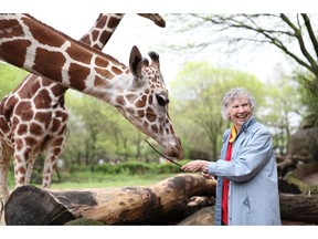 The Woman Who Loves Giraffes documentary tells the story of the groundbreaking work of Canada's Dr. Anne Innis Dagg who as a young woman went to South Africa in 1956 to study the beautiful animals. The Alison Reid directed film will open in Vancouver on Friday, January 11, 2019 at the Vancity Theatre. Photo: Julie Giles [PNG Merlin Archive]