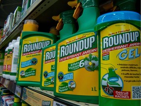 (FILES) This file photo taken on June 15, 2015 shows a bottle of Monsanto's 'Roundup'