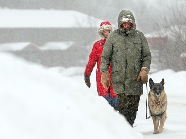 Despite huge snowbanks to navigate around, Manotick's Jeff Cronin and his wife Ann still managed to get their dog, Jinny, out for a walk Wednesday morning.