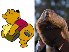 Winnie-the-Pooh and Punxsutawney Phil.