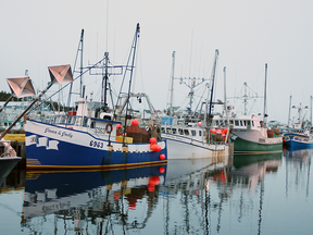 Fishing boats in Twillingate's harbour in Newfoundland.