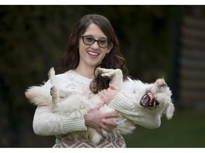 Mugsy, a Maltese/Japanese Spitz dog poses for a photo with her new mom Sam Taylor at their home in Burnaby, B.C., Friday, Jan 25, 2019. Mugsy, a rescue dog from Iran had a man douse her in a corrosive cleaner when she was around six weeks old burning much of her face and causing her to loose a eye, most of a ear and her nose. Mugsy was flown from Iran to Canada and now lives in Burnaby with her adoptive mom Sam Taylor.