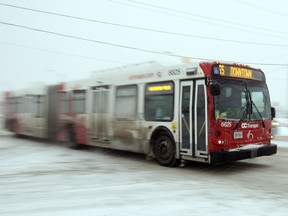 In this file photo, an OC Transpo bus makes it's way during a winter storm. Why not lt seniors decide which day they ride for free?