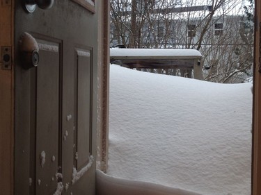 Snow door