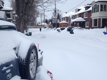 Lone commuter on Clarey Avenue in Glebe