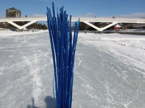 A volunteer displays the kind of blue bristles that can be left behind after mechanical sweepers sweep the surface of the Rideau Canal Skateway.
For use with 0202 riverkeeper
Courtesy Ottawa Riverkeeper