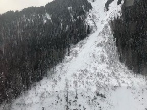 n a statement on its Facebook page, Fernie Search and Rescue said five people were skiing in the area of Mt. Fernie when 'a slide was remote triggered above them,' burying two of the skiers on Sunday, Feb. 17, 2019.