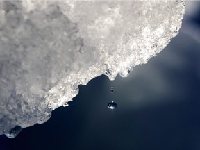 A drop of water falls off an iceberg melting in the Nuup Kangerlua Fjord in southwestern Greenland, Tuesday Aug. 1, 2017. Police are baffled after Newfoundland thieves made off with about 30,000 litres of unbottled iceberg water worth as much as $12,000. The unusual bounty, which was to be used to make vodka, was being stored in a warehouse in Port Union, N.L.