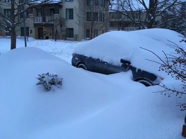 The car is there somewhere: snowed in on Bellwood Avenue in Old Ottawa South.