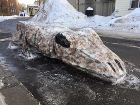 People in Vanier are making street art out of the unplowed snowbanks.