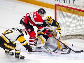 The Ottawa 67's Sasha Chmelevski scores a short-handed goal against the Hamilton Bulldogs on Friday, Feb. 15, 2019 at the TD Place arena.