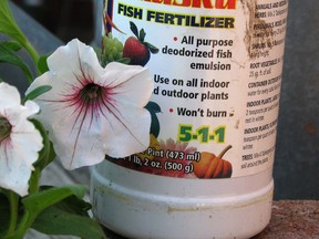 This undated photo shows houseplant fertilizer in New Paltz, N.Y. Houseplants can be fertilized in a variety of ways, and a soluble, organic fertilizer derived from fish is one such way.