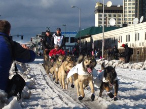 FILE - In this March 7, 2015, file photo, musher Peter Kaiser, of Bethel, Alaska, leads his team past spectators during the ceremonial start of the Iditarod Trail Sled Dog Race, in Anchorage, Alaska. Kaiser has become the latest Alaska Native to win the Iditarod dog sled race. Kaiser won the race for the first time early Wednesday, March 13, 2019, crossing the finish line in Nome after beating back a challenge from the defending champion, Norwegian musher Joar Ulsom.