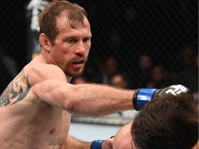 Cowboy Cerrone punches Alexander Hernandez in a lightweight bout in New York during January 2019.