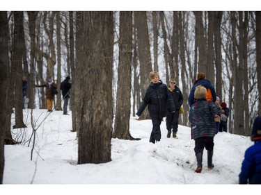 The 35th edition of the Vanier Sugar Festival began Saturday.