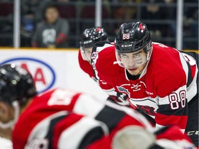 Ottawa 67's #88 Kevin Bahl gets prepared during a face off  against the Sudbury Wolves Sunday April 7, 2019, at TD Place Arena.