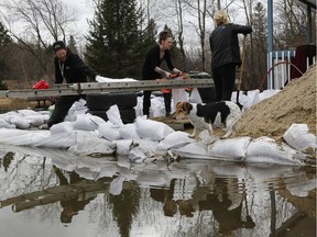 A dog named Daisy looks at flood waters as Estelle Dubeau (right) Sabrina Dinelle and her brother Nicolas Dinelle were filling sandbags in Lachute, about an hour's drive north east of Montreal on Thursday, April 25, 2019.