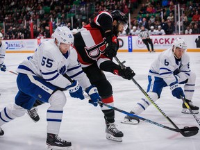 A member of the Belleville Senators tries to get a shot off against the Toronto Marlies on Wednesday night. (JASON SCOURSE PHOTO)