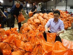 Volunteers gathered at the Beaudry Arena in Gatineau to bag sand in preparation for possible flooring, April 20, 2019.  Photo by Jean Levac/Postmedia News 131408