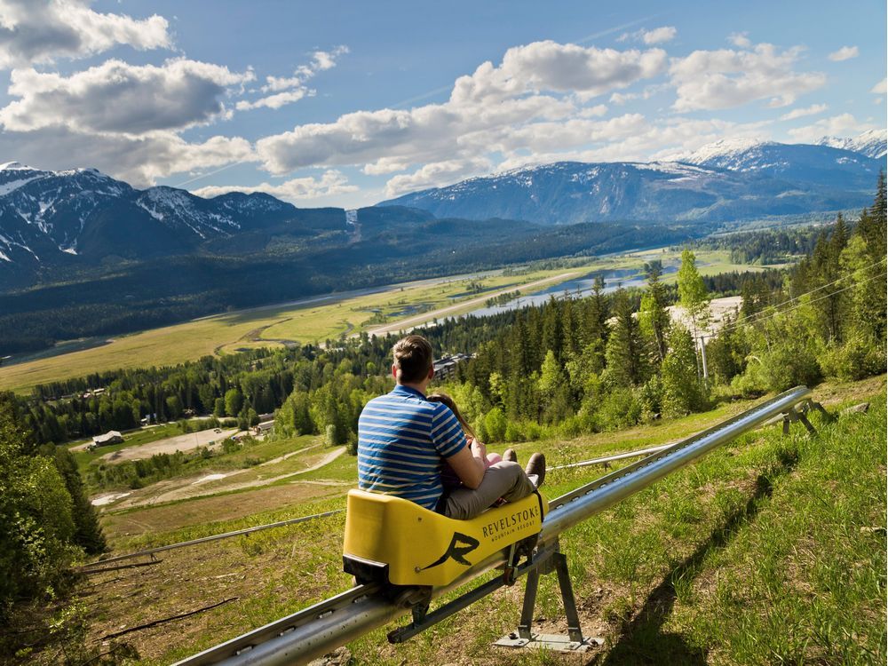 Summertime alpine luge may be coming to Camp Fortune Ottawa Citizen