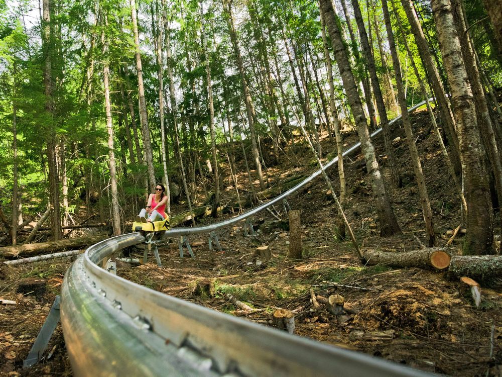 Summer luge run approved for Camp Fortune more trails for