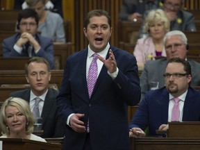 Leader of the Opposition Andrew Scheer rises during Question Period in the House of Commons Wednesday April 10, 2019 in Ottawa.
