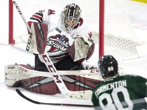 Guelph Storm playing against London Knights on Feb. 13, 2019.