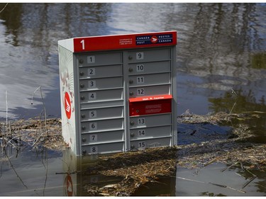 A Canada Post mailbox sits under water near the flooded banks of the Ottawa River in Cumberland, Ontario on Tuesday, April 30, 2019.