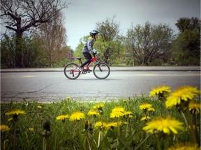 Sunday Bikedays kicked off Sunday May 19, closing off numerous roadways, including eight kilometres of Colonel By Drive, for cyclists and other active people to get out and enjoy.