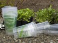 The NAC unveiled a program that will introduce plant-based food and drink containers and transform them into compost to be put into herb gardens that will be used in the kitchen. The move will divert 500,000 containers from the landfill annually. May 9, 2019. Errol McGihon/Postmedia