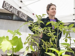 Marnie Chown of Fair Sun Farm in Spencerville with some of her organic produce at the CHEO farmer's market on May 22, 2019. Errol McGihon/Postmedia