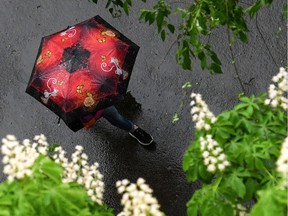 A woman walks with an umbrella.