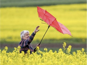 A woman struggles with her umbrella.