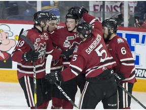 Members of the Guelph Storm celebrate after MacKenzie Entwistle, centre, scored against the Rouyn-Noranda Huskies in second period 2019 Memorial Cup action in Halifax on Saturday, May 18, 2019. Guelph won 5-2.