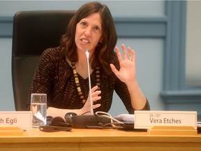 Dr. Vera Etches, Ottawa's medical officer of health, briefs the city's Board of Health recently.
