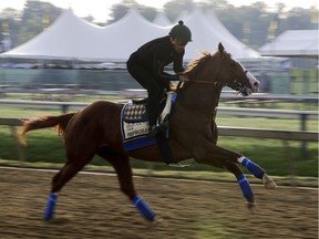 Improbable runs during training for Saturday's Preakness horse race at Pimlico race track in Baltimore, Friday, May 17, 2019.
