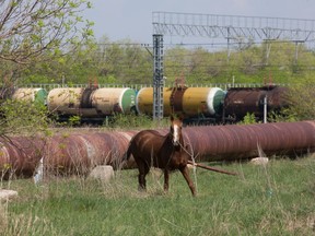 Rail wagons stand beside a rusty section of pipeline at the Nikolayevka railroad station close to the source of oil pipeline contamination in the village of Nikolayevka, Russia, on Tuesday, May 14, 2019.