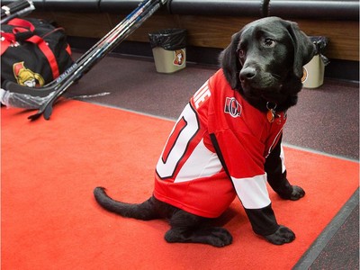 Ottawa Senators - Rookie is in the house today! Our CNIB