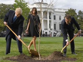 (FILES) In this file photo taken on April 23, 2018 US President Donald Trump and French President Emmanuel Macron plant a tree watched by Trump's wife Melania and Macron's wife Brigitte on the grounds of the White House in Washington,DC.