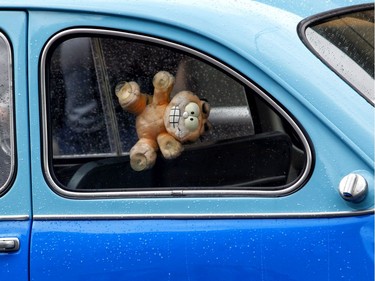 Car owners take part in the Italian car parade as part of the Italian Festival on Saturday.