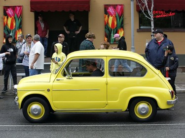 Car owners take part in the Italian car parade as part of the Italian Festival on Saturday.